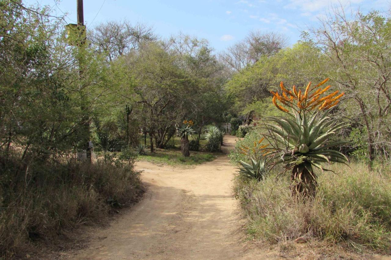 Amanzimlotzi Riverside Bush Camp Hoedspruit Zewnętrze zdjęcie