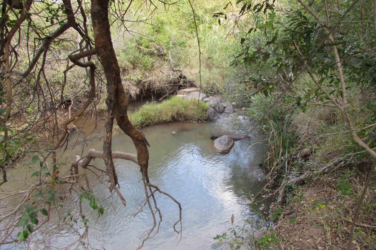 Amanzimlotzi Riverside Bush Camp Hoedspruit Zewnętrze zdjęcie