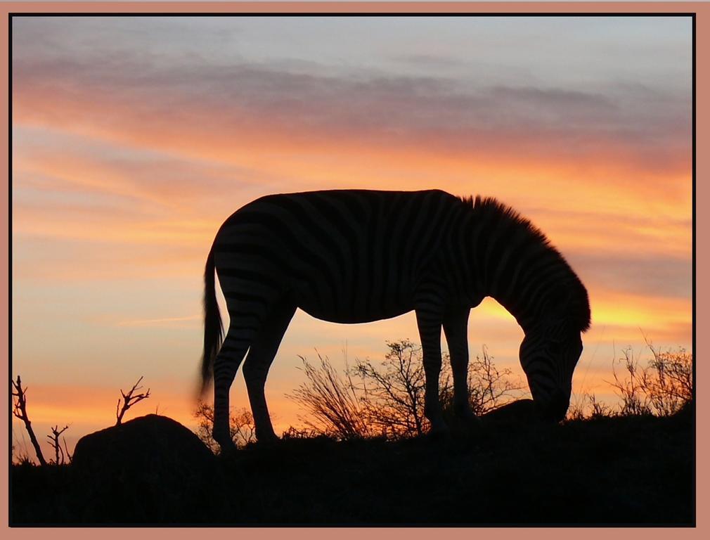 Amanzimlotzi Riverside Bush Camp Hoedspruit Zewnętrze zdjęcie