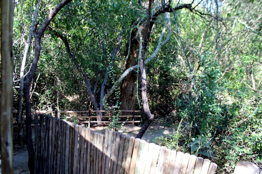Amanzimlotzi Riverside Bush Camp Hoedspruit Zewnętrze zdjęcie