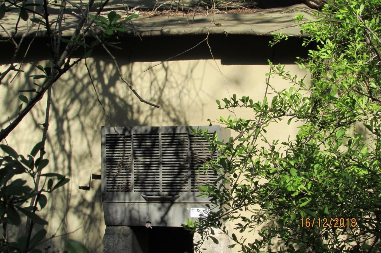 Amanzimlotzi Riverside Bush Camp Hoedspruit Zewnętrze zdjęcie