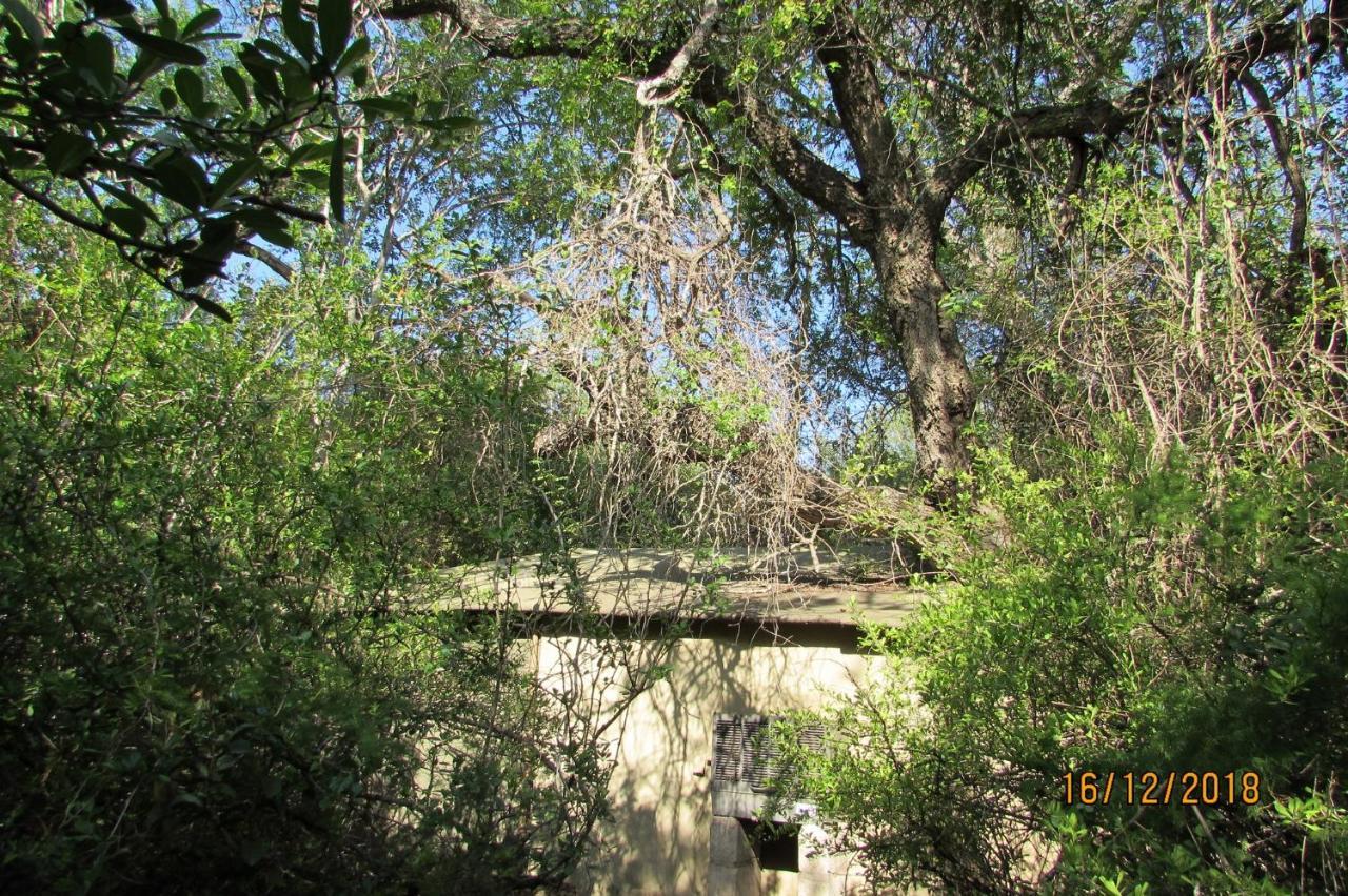 Amanzimlotzi Riverside Bush Camp Hoedspruit Zewnętrze zdjęcie