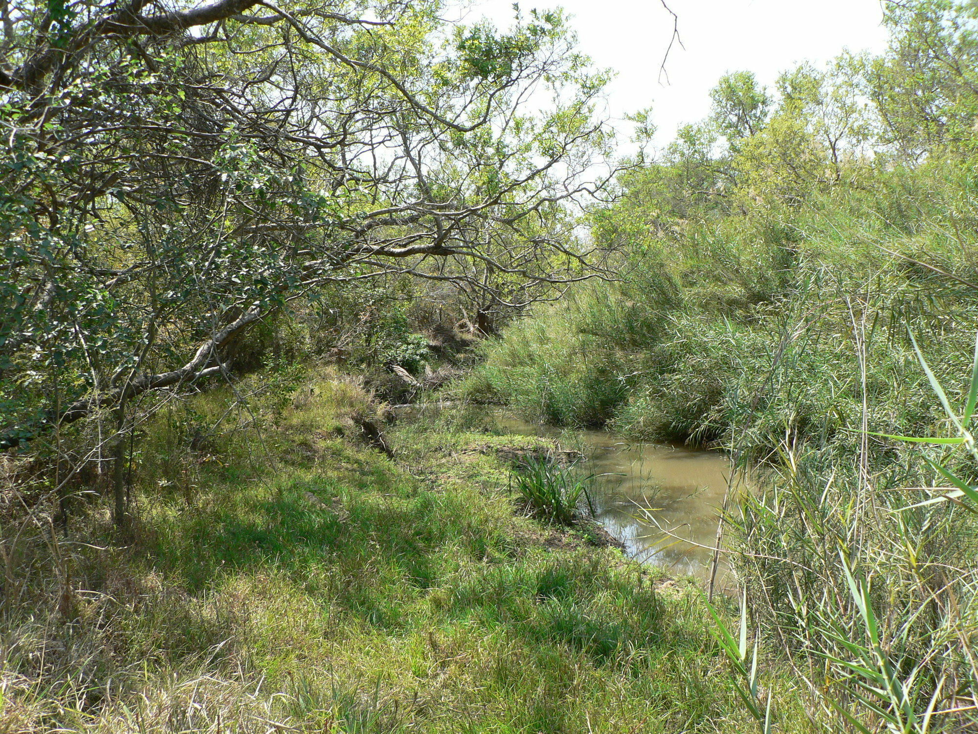 Amanzimlotzi Riverside Bush Camp Hoedspruit Zewnętrze zdjęcie